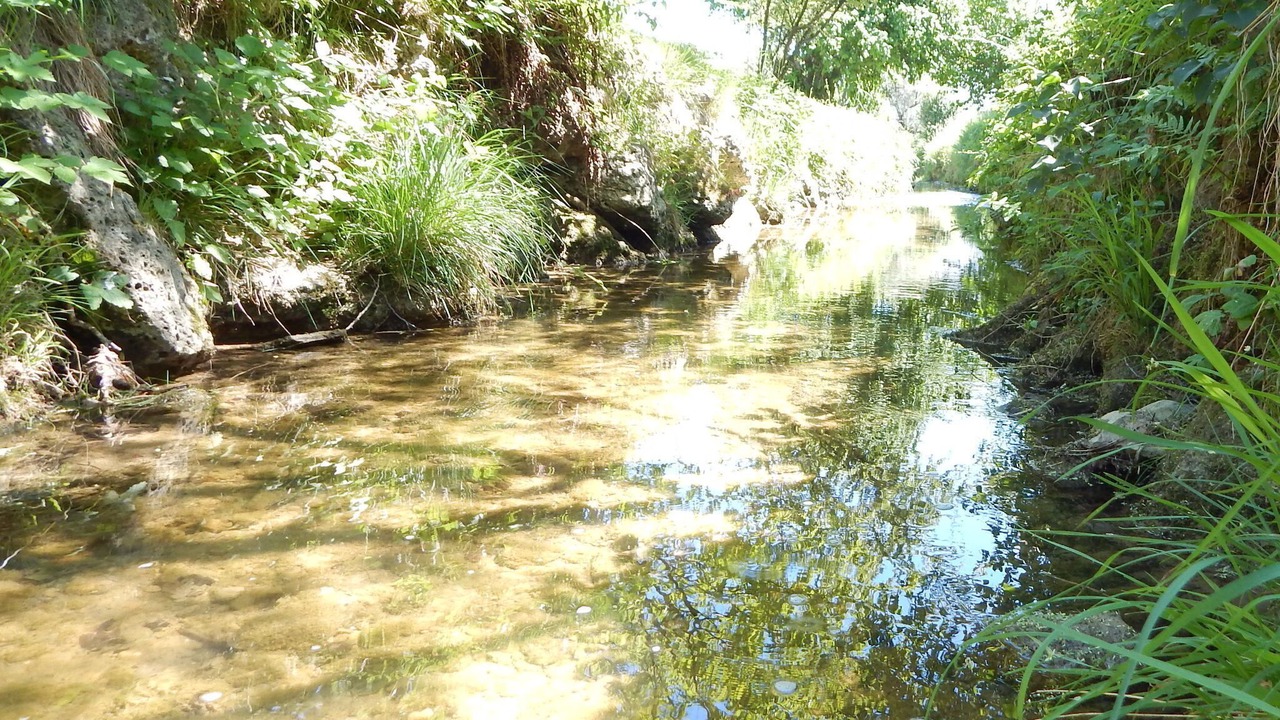 Photo of Outdoor in Willing