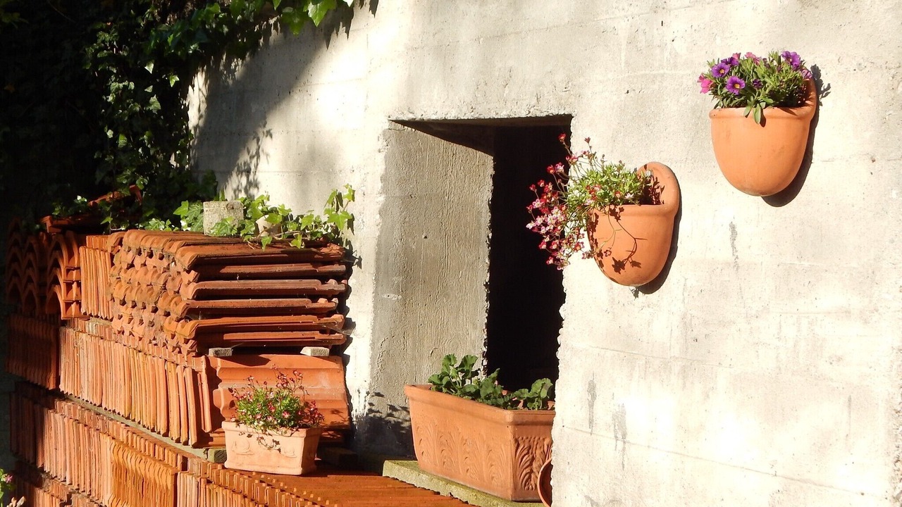 Photo of Outdoor in Willing