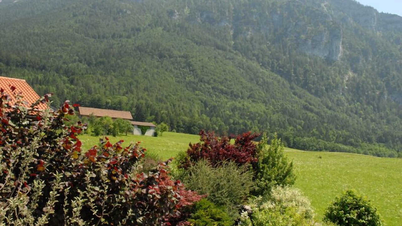 Photo of Outdoor in Breitmoos