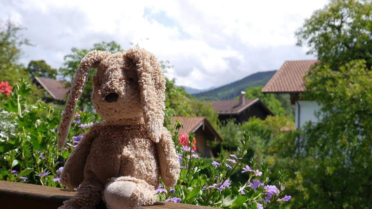 Photo of Outdoor in Frasdorf