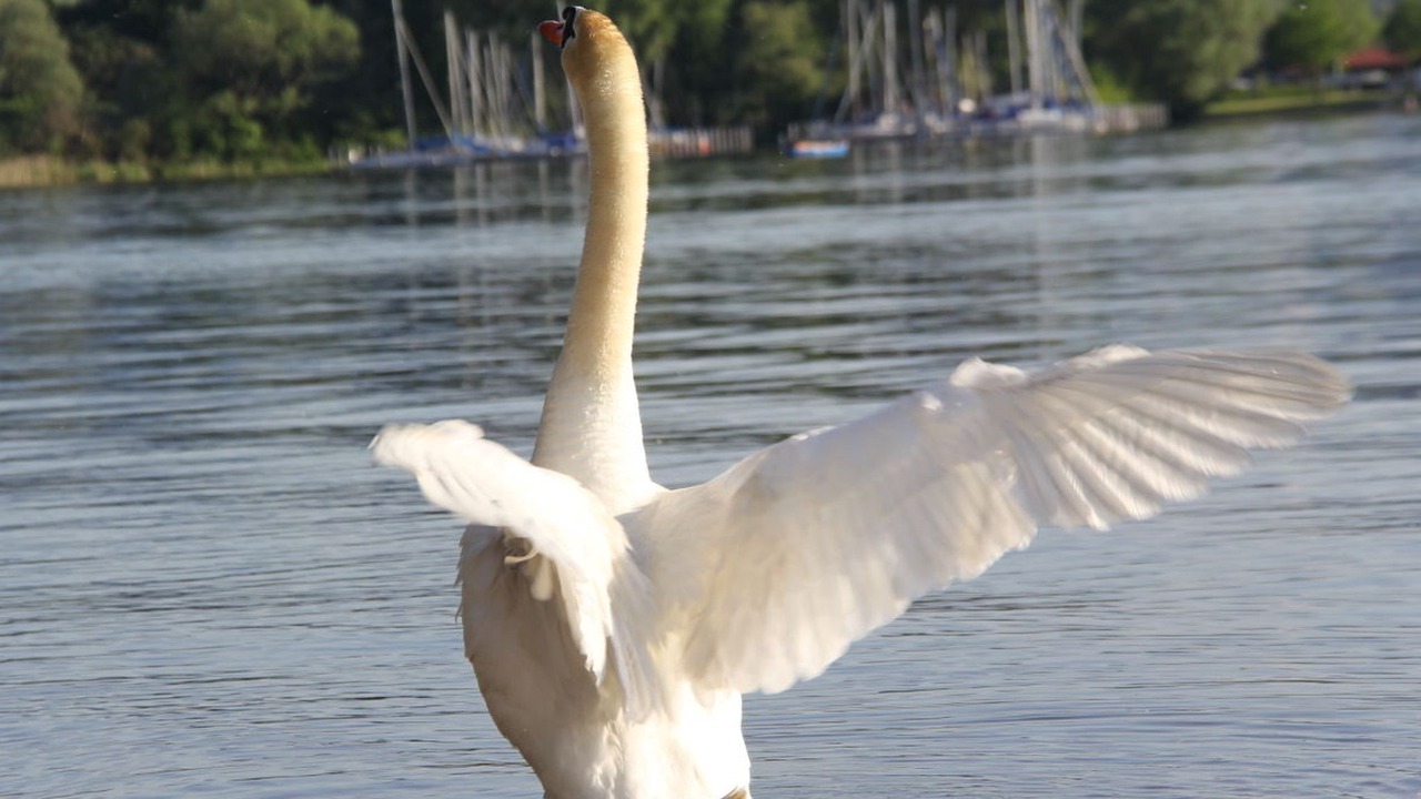 Photo of Outdoor in Frasdorf