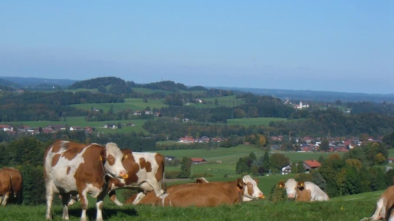 Photo of Outdoor in Frasdorf