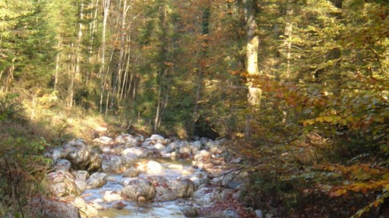 Photo of Outdoor in Frasdorf