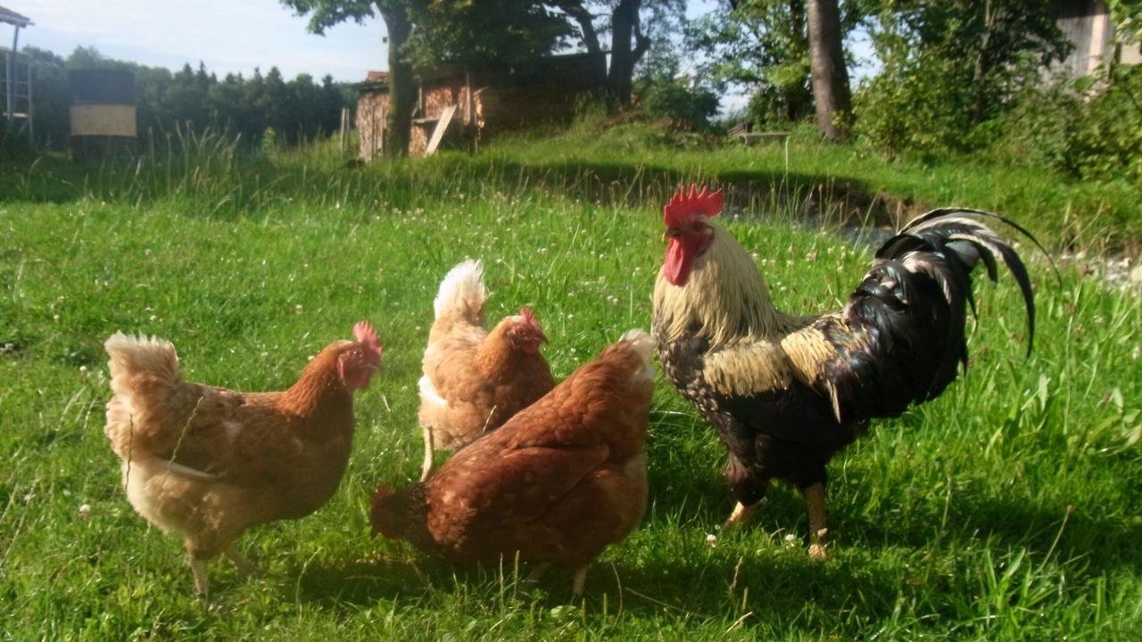 Photo of Outdoor in Aschau im Chiemgau