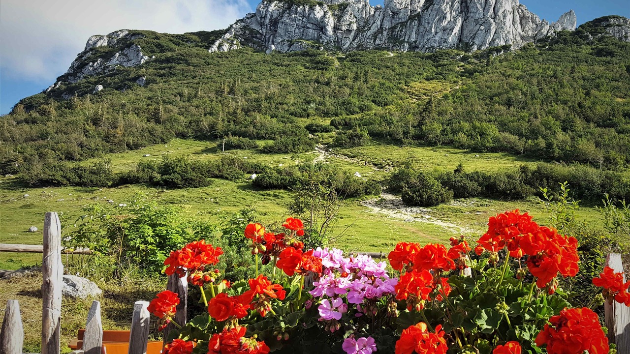 Photo of Outdoor in Truchlaching