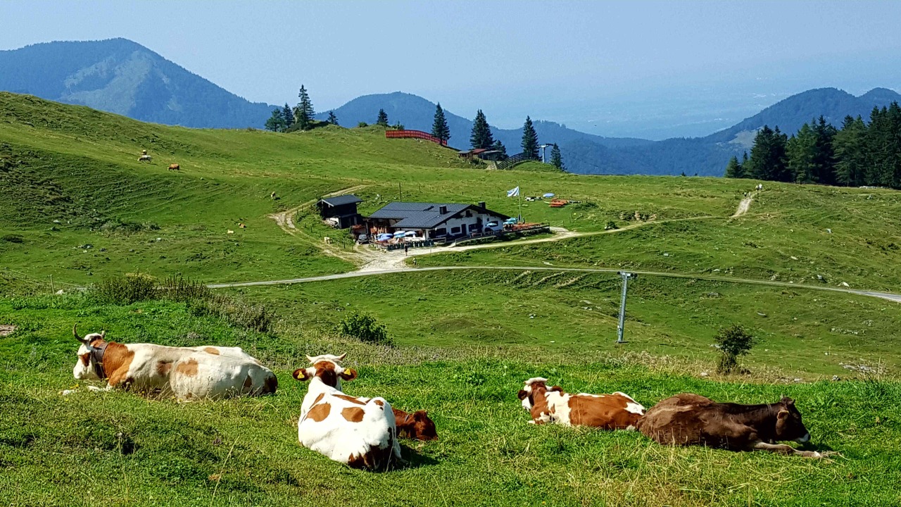 Photo of Others in Truchlaching
