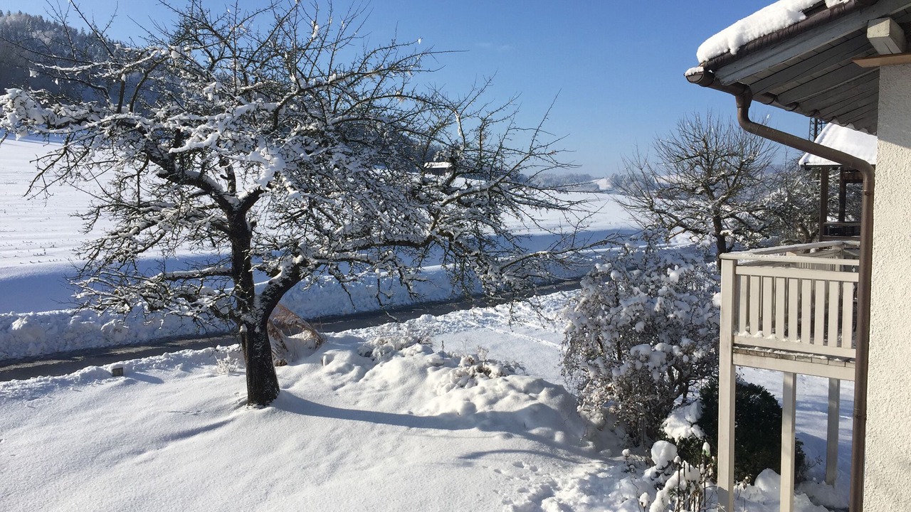 Photo of Outdoor in Antwort