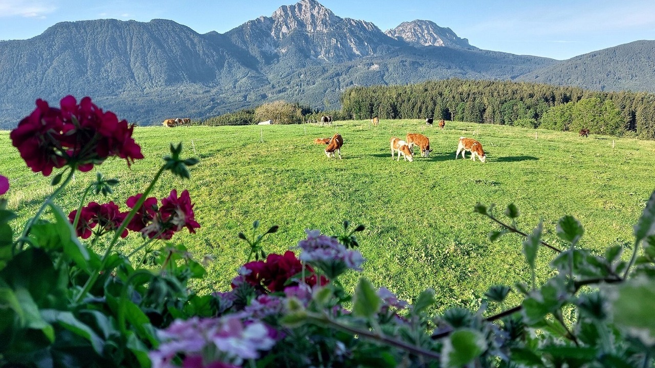 Photo of Outdoor in Kleinhogl