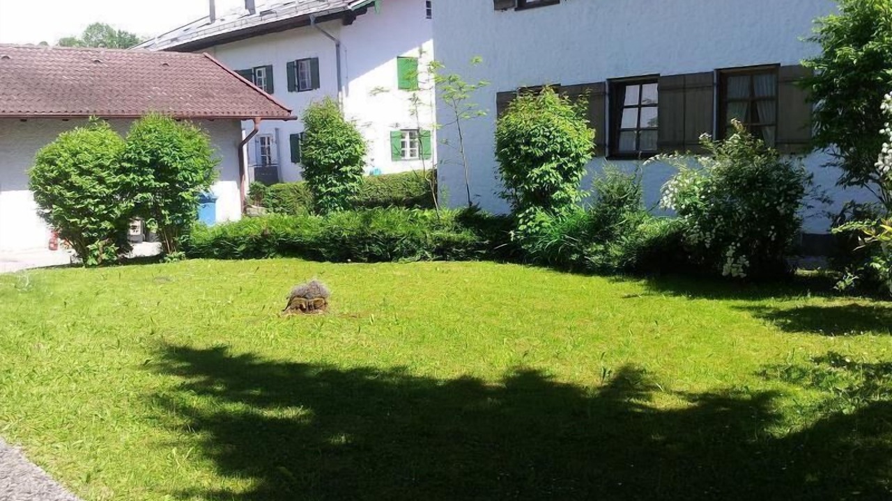 Photo of Outdoor in Gmain