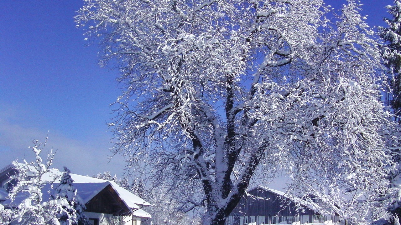 Photo of Outdoor in Siegsdorf