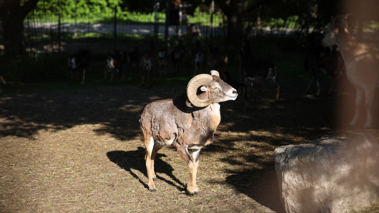 Photo of Others in Weissbach