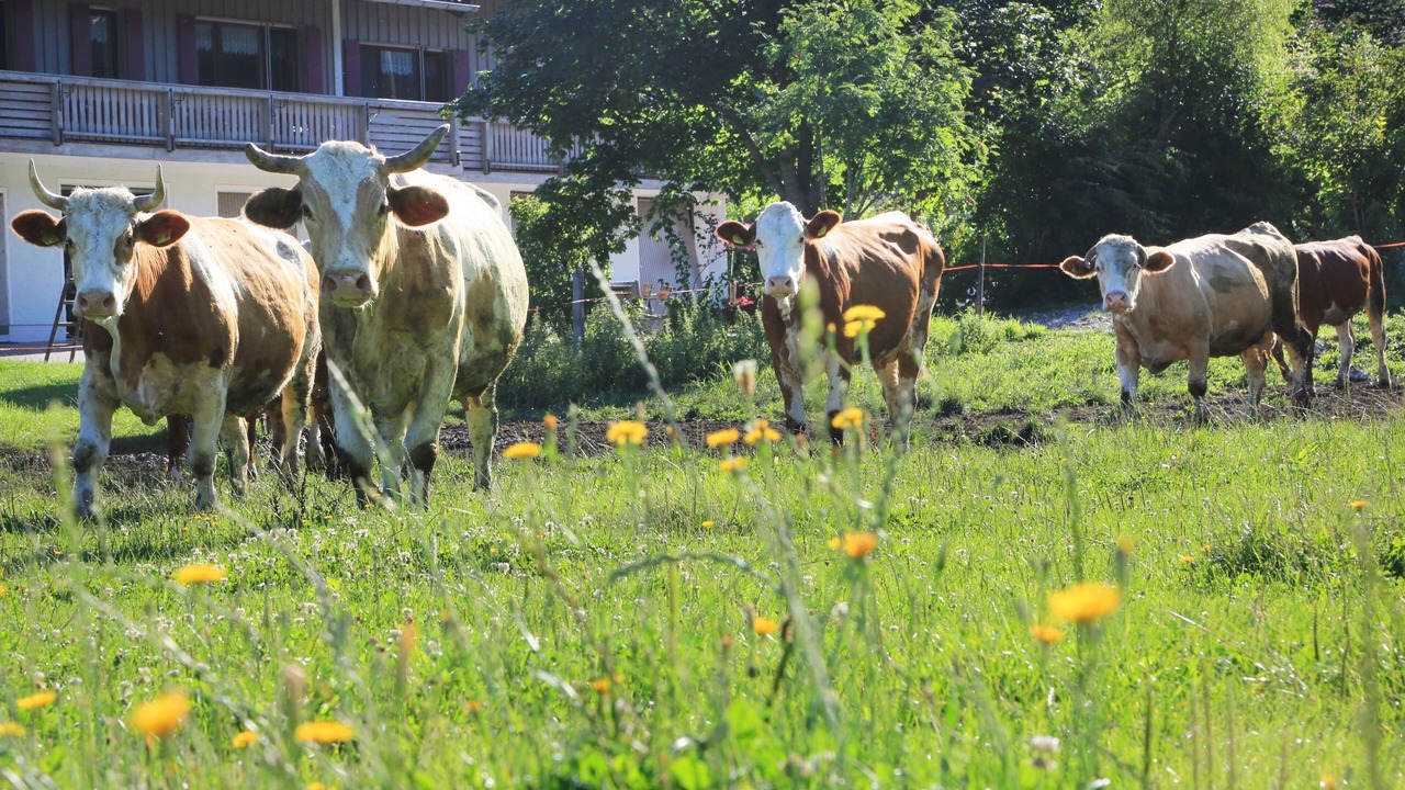 Photo of Outdoor in Siegsdorf
