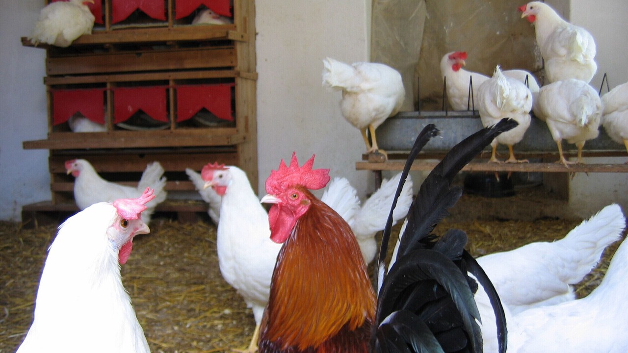 Photo of Others in Seeon-Seebruck