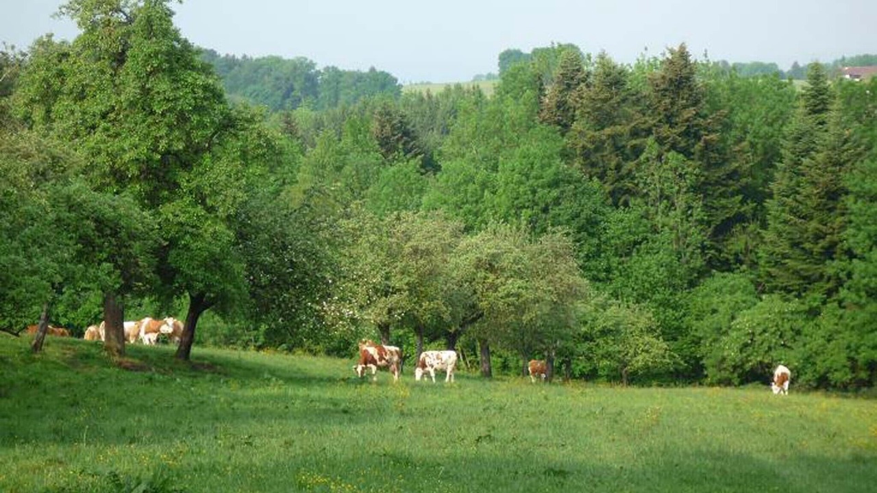 Photo of Outdoor in Bad Endorf
