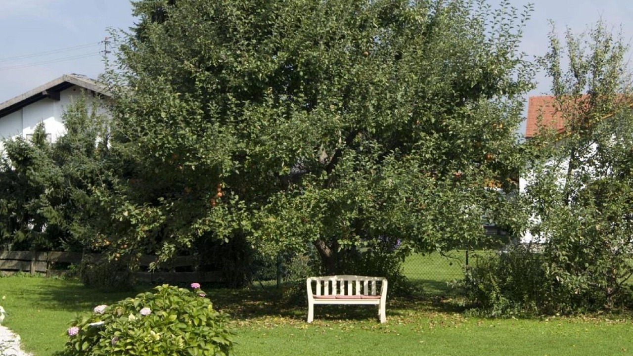 Photo of Outdoor in Grassau