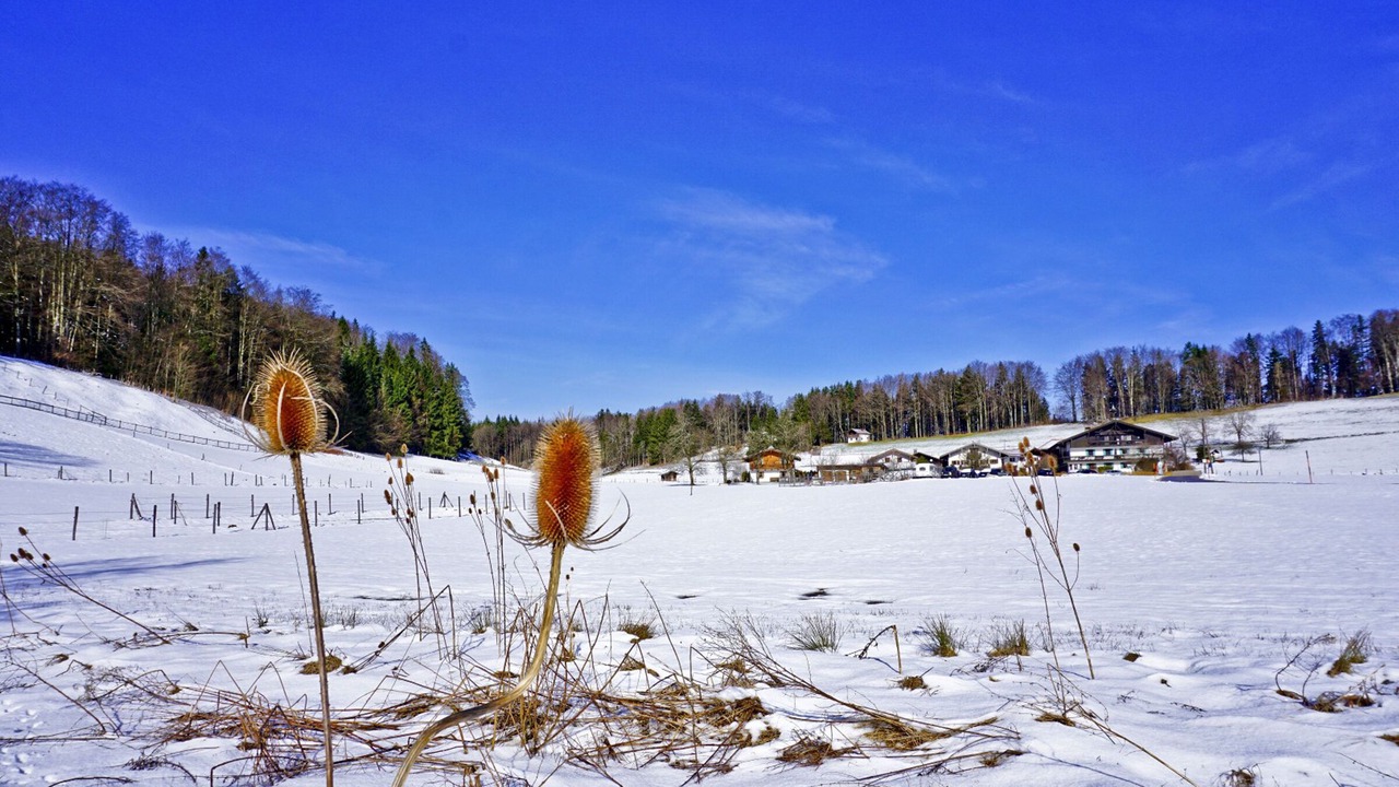 Photo of Others in Aschau im Chiemgau
