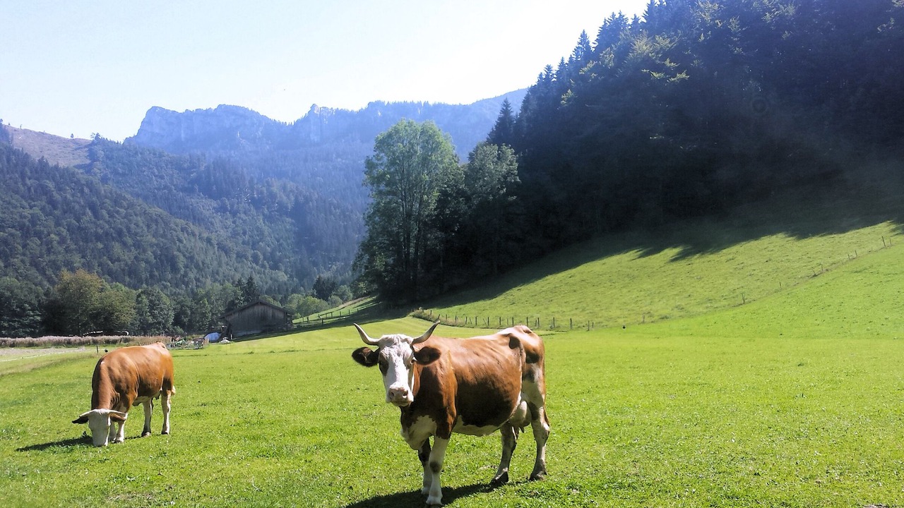 Photo of Outdoor in Aschau im Chiemgau