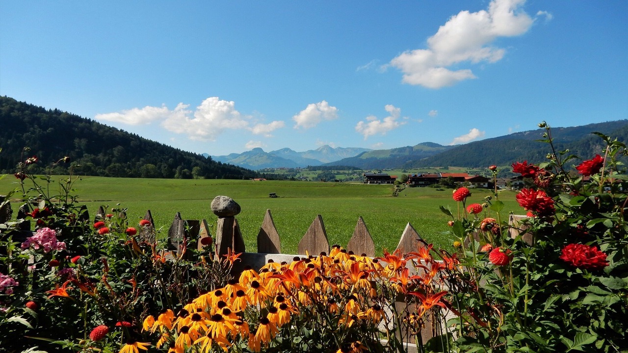 Photo of Outdoor in Blindau