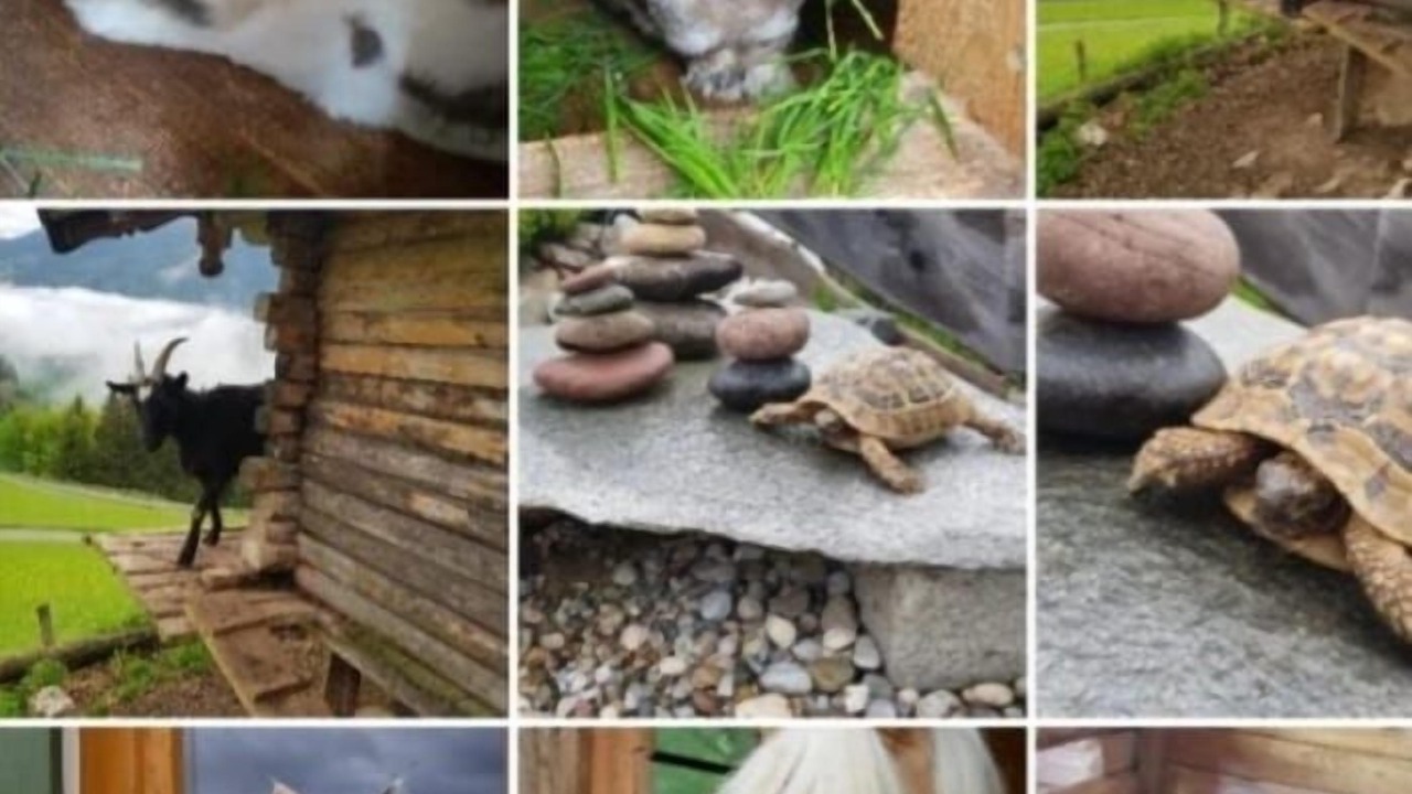 Photo of Others in Ramsau bei Berchtesgaden