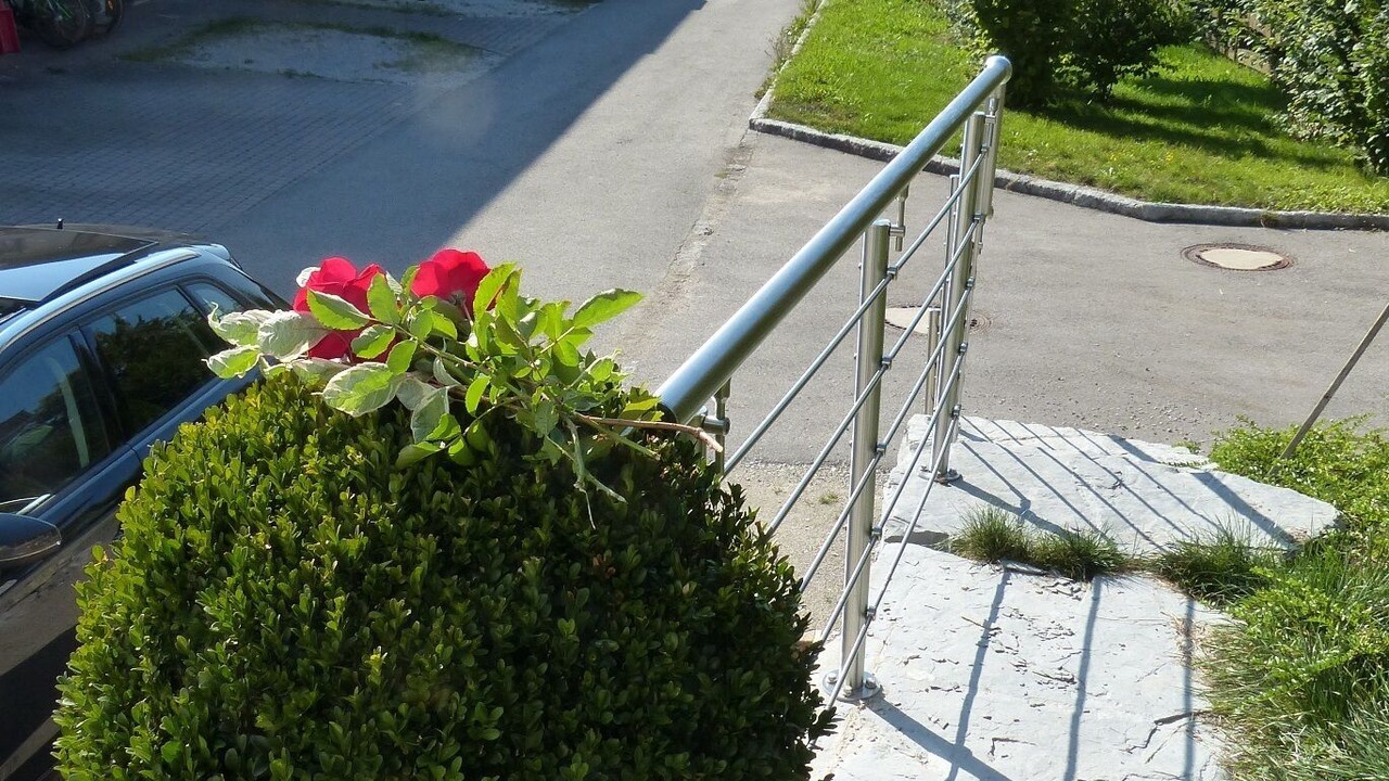 Photo of Outdoor in Winkl