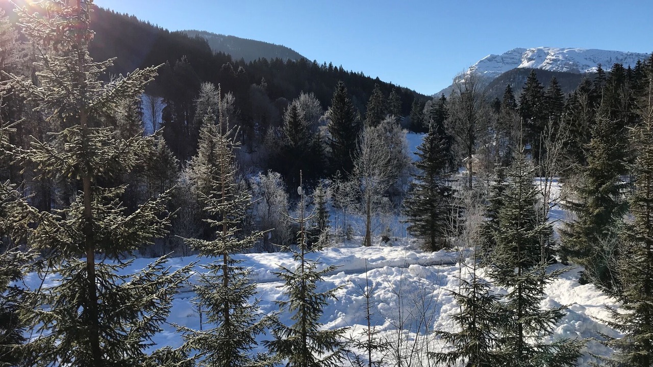 Photo of Others in Groissenbach