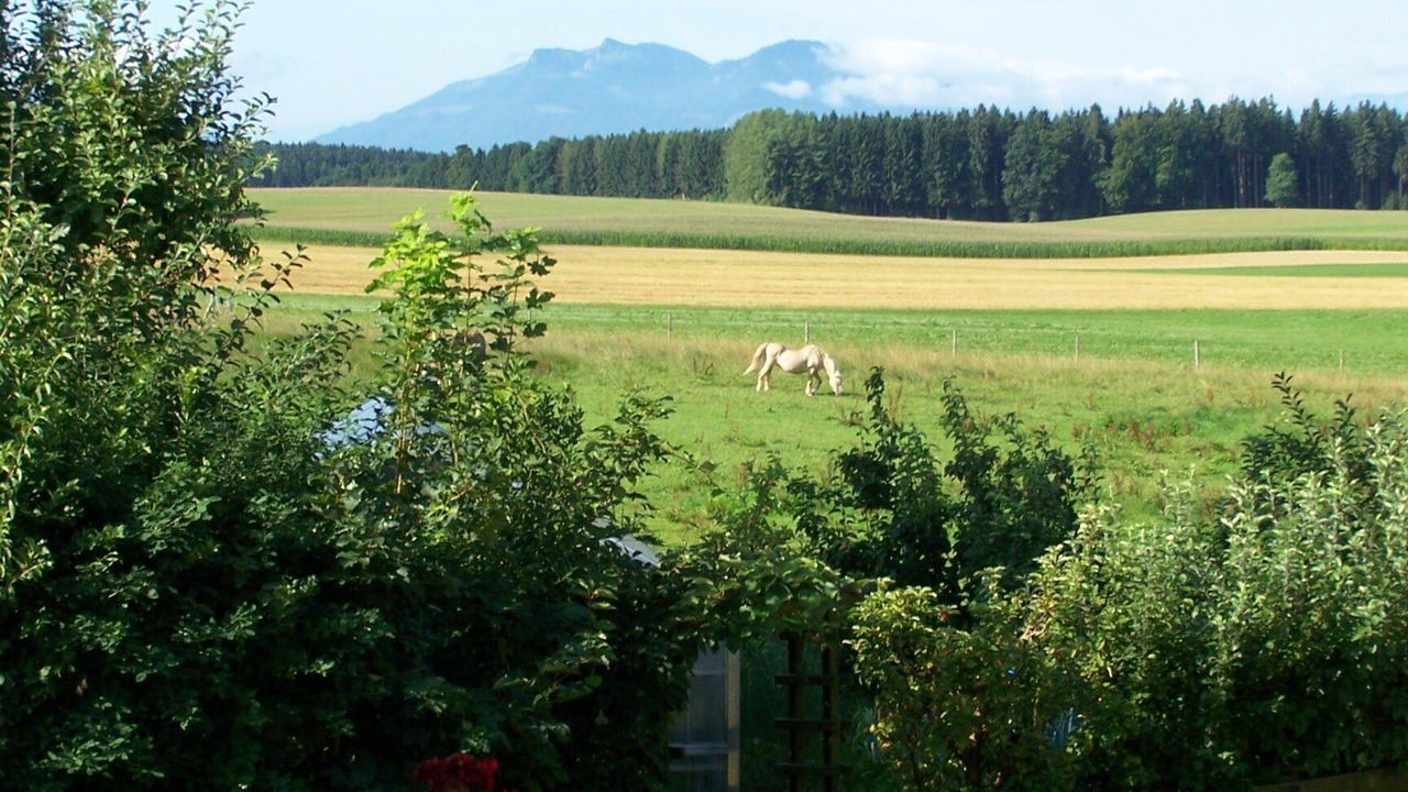 Photo of Outdoor in Gollenshausen a.Chiemsee