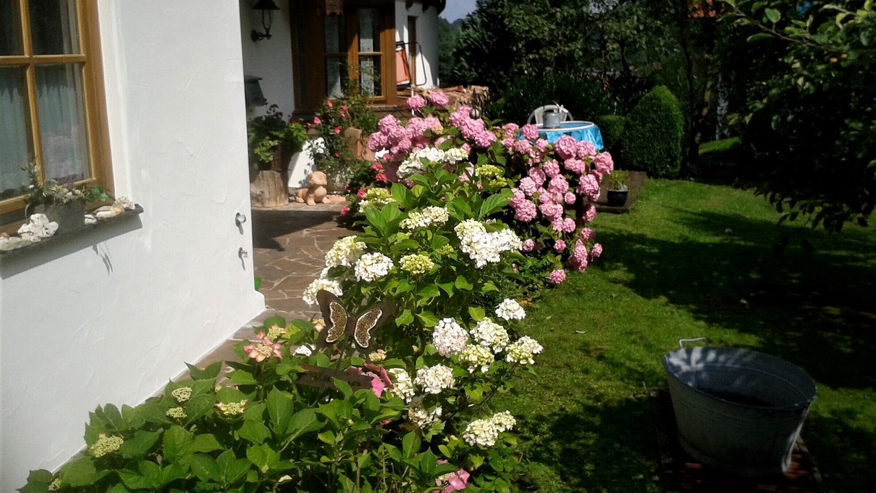 Photo of Outdoor in Ruhpolding