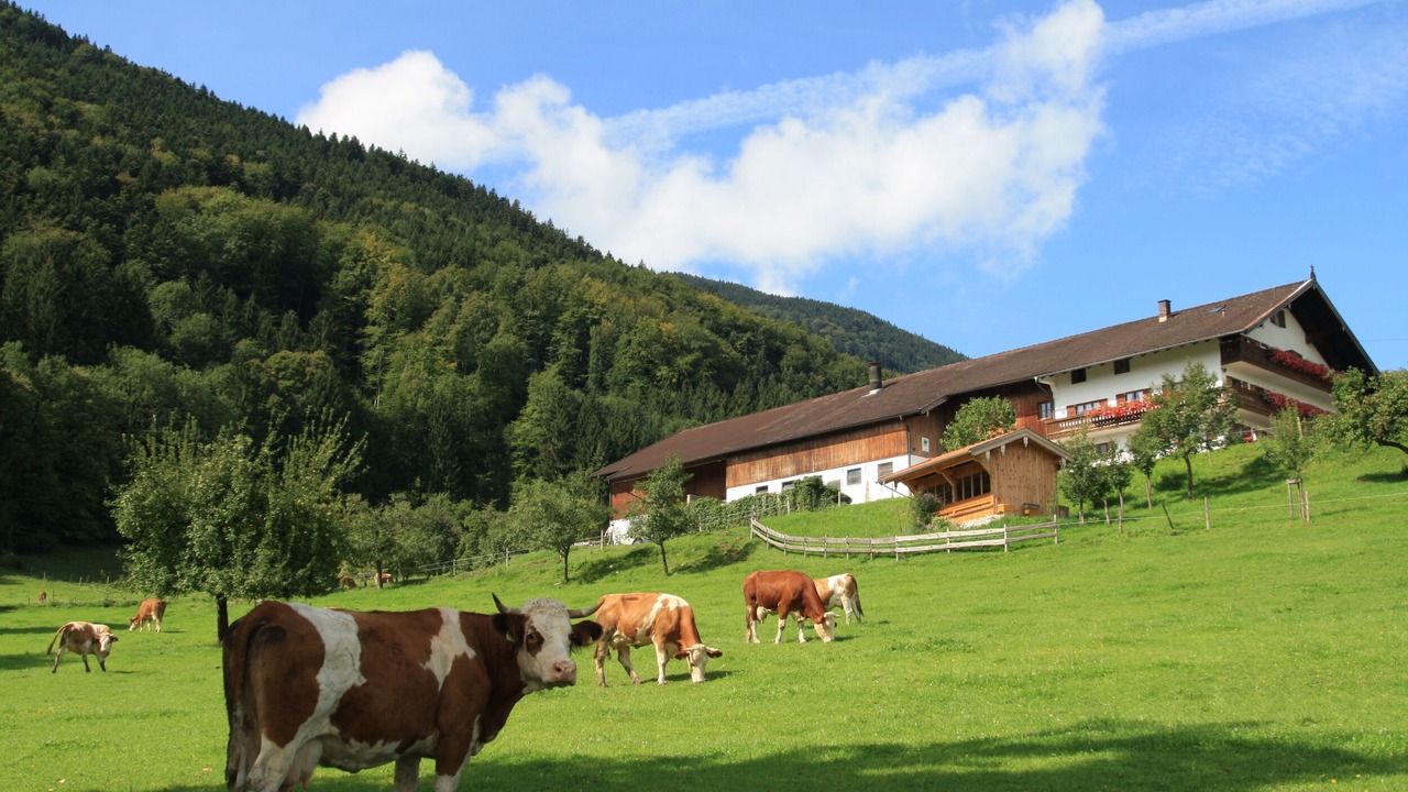 Photo of Outdoor in Bad Feilnbach