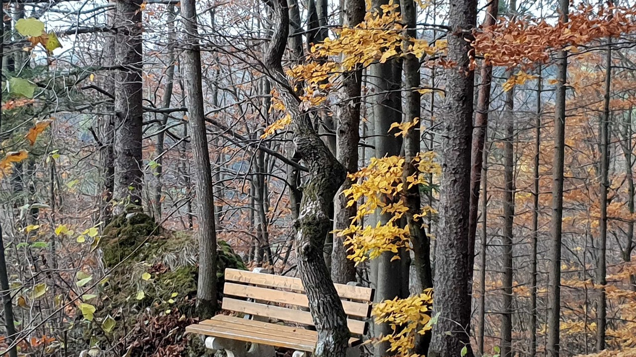 Photo of Outdoor in Waischenfeld
