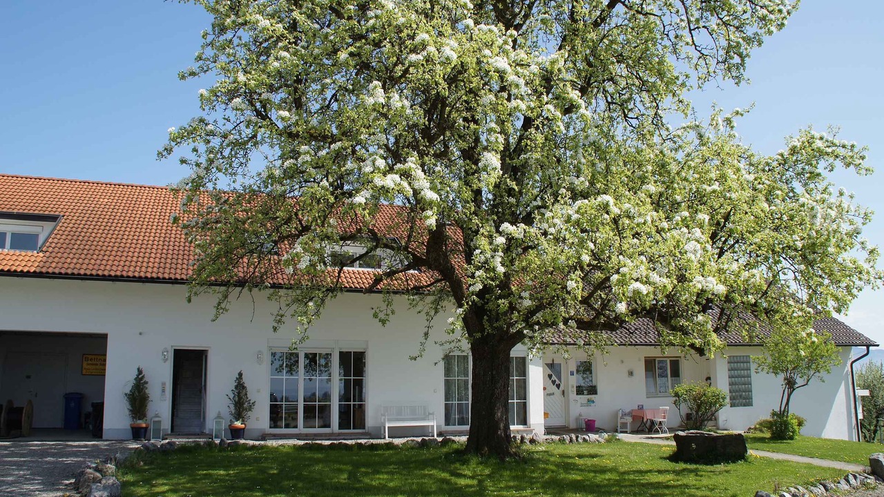 Photo of Outdoor in Bodolz