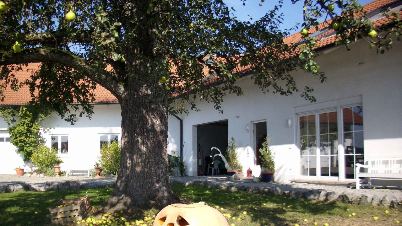 Photo of Patio Balcony in Bodolz