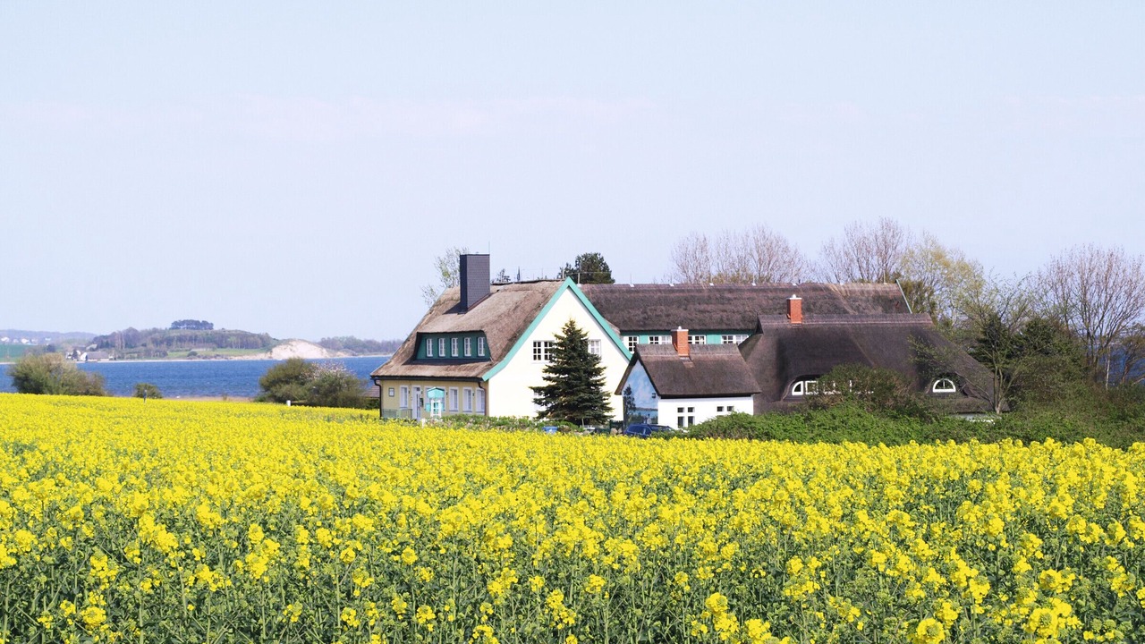 Photo of Outdoor in Alt Reddevitz