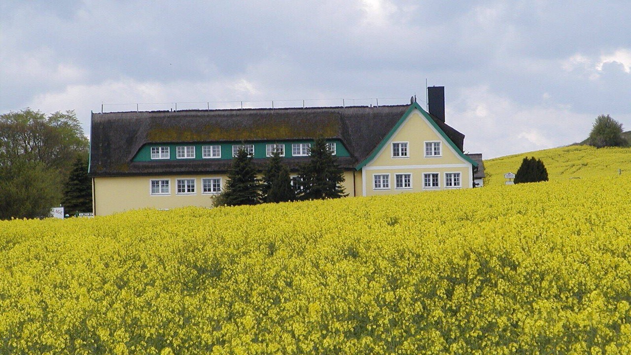 Photo of Outdoor in Alt Reddevitz