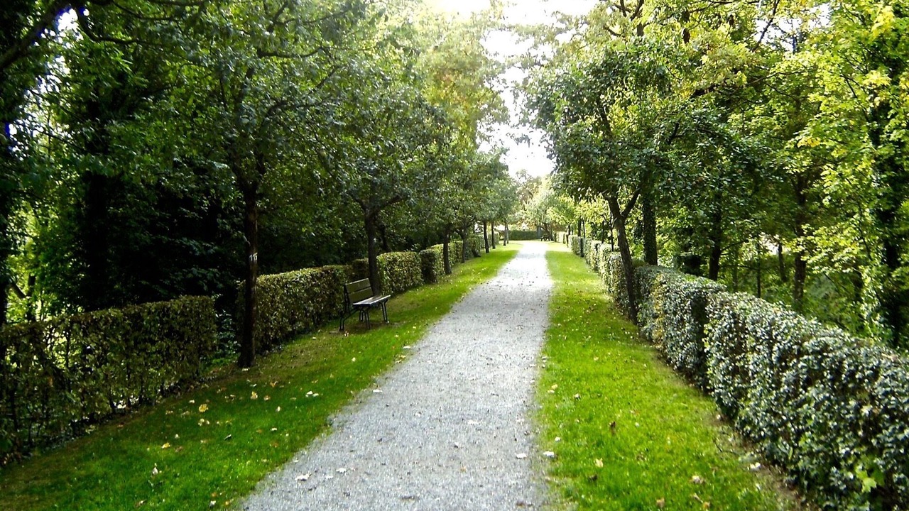 Photo of Outdoor in Iphofen