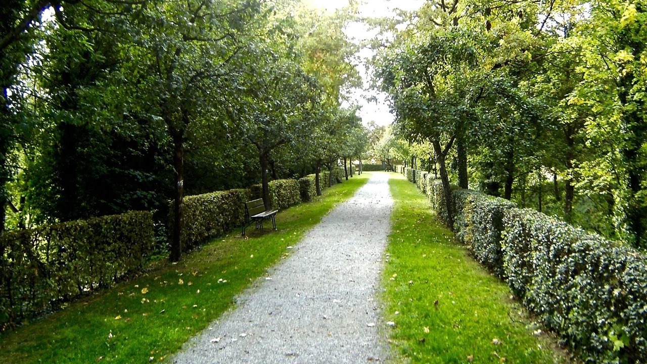 Photo of Outdoor in Iphofen
