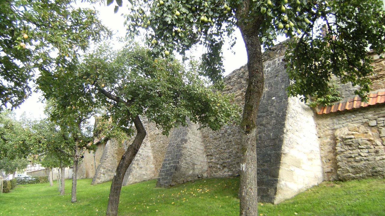 Photo of Outdoor in Iphofen
