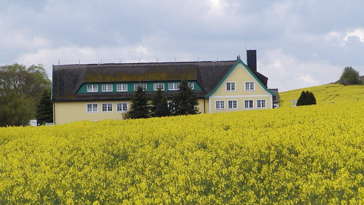 Photo of Outdoor in Alt Reddevitz