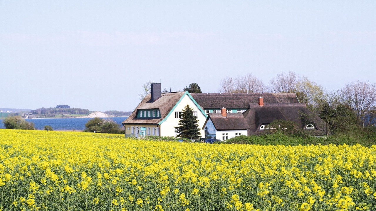 Photo of Outdoor in Alt Reddevitz