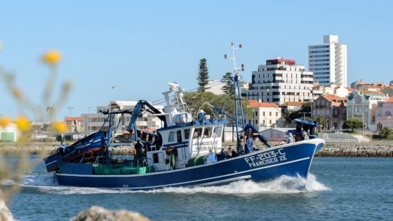 Photo of Others in Figueira da Foz