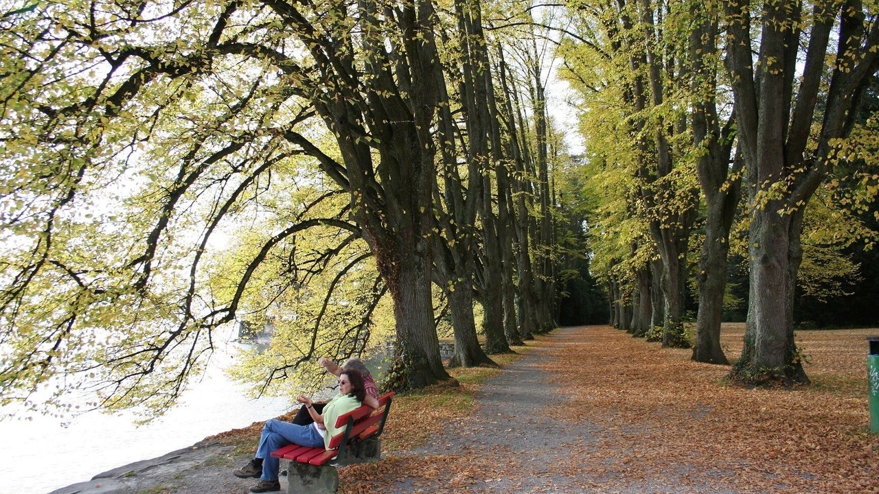 Photo of Outdoor in Hoyren