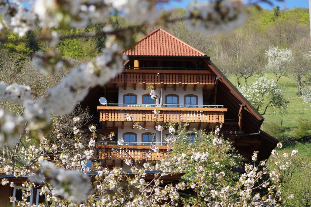 Photo of Outdoor in Bad Peterstal-Griesbach
