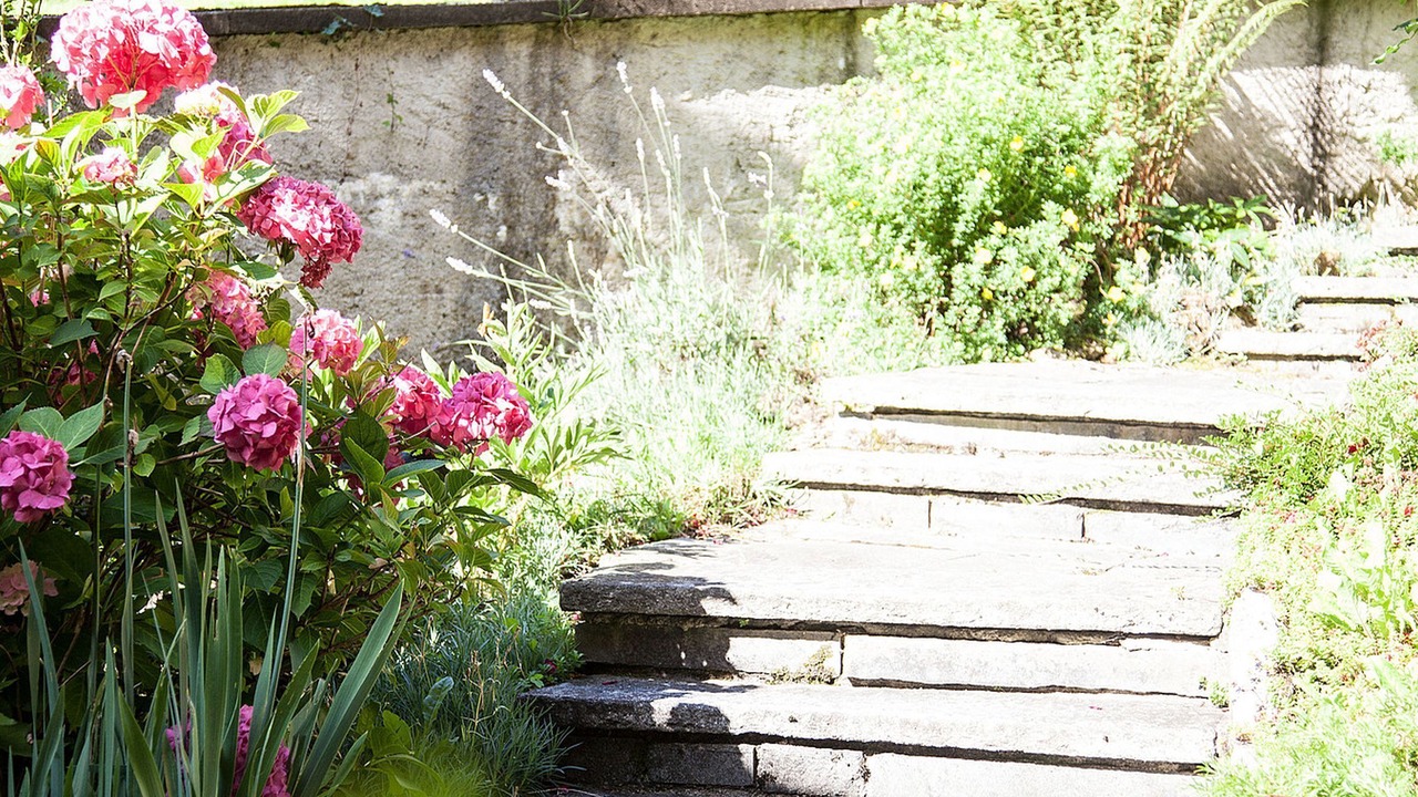 Photo of Outdoor in Badenweiler