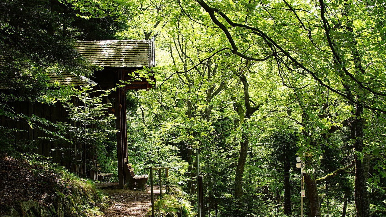 Photo of Outdoor in Badenweiler