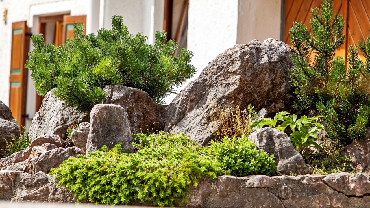 Photo of Outdoor in Entfelden