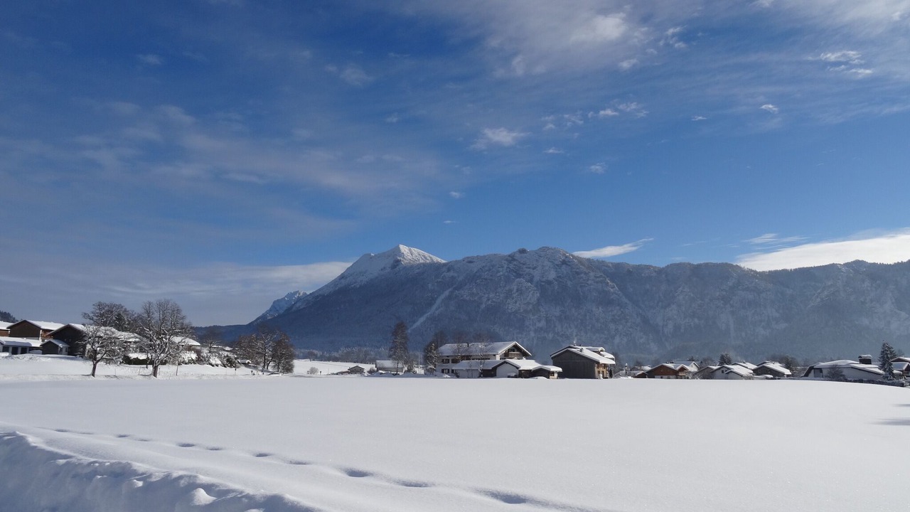 Photo of Others in Inzell
