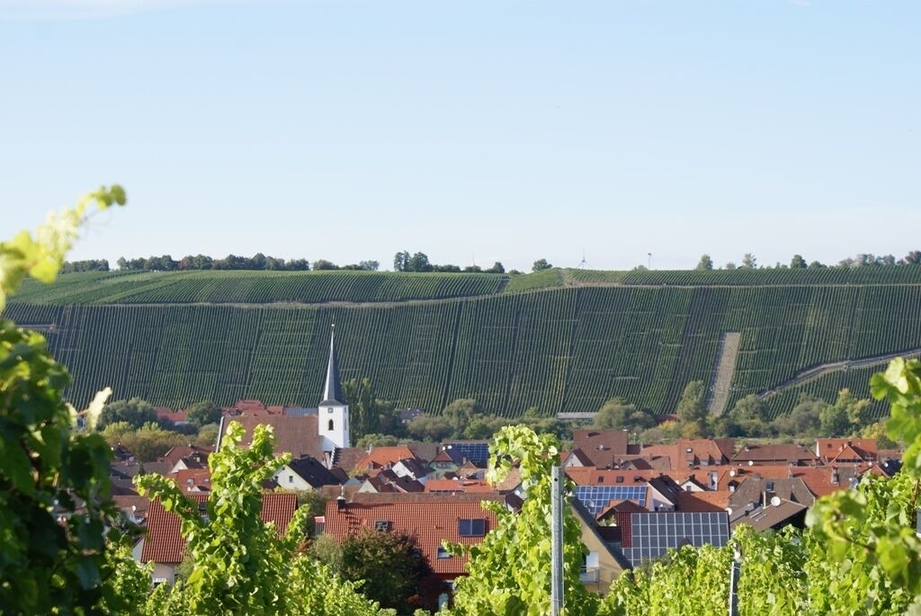 Photo of Outdoor in Nordheim a. Main