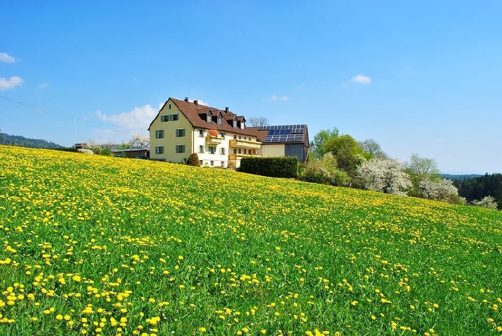 Photo of Outdoor in Friedenfels