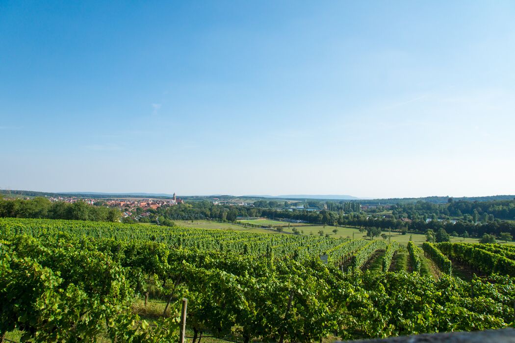 Photo of Outdoor in Nordheim a. Main