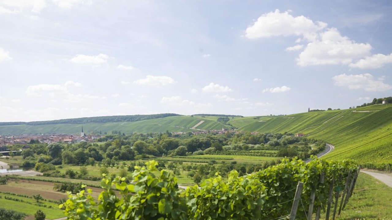 Photo of Outdoor in Nordheim a. Main