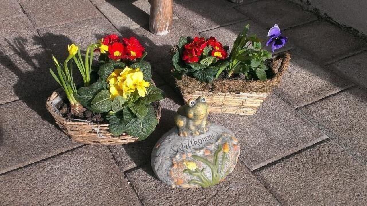 Photo of Outdoor in Safferstetten
